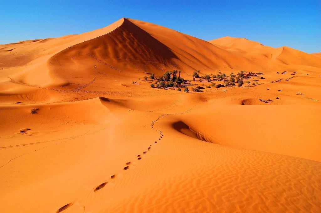 Riad Desert Camel Merzouga Exterior photo