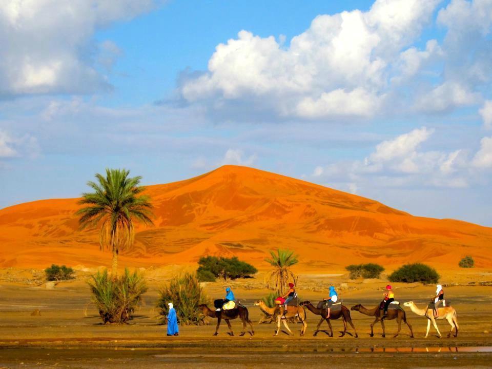 Riad Desert Camel Merzouga Exterior photo