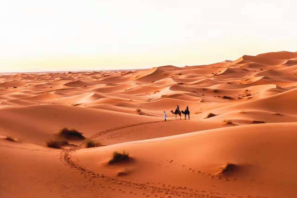 Riad Desert Camel Merzouga Exterior photo